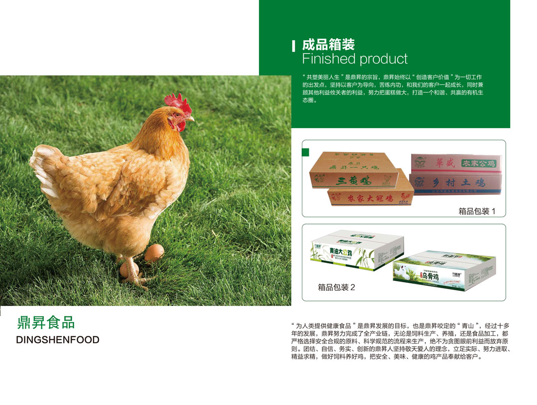 宣傳冊5