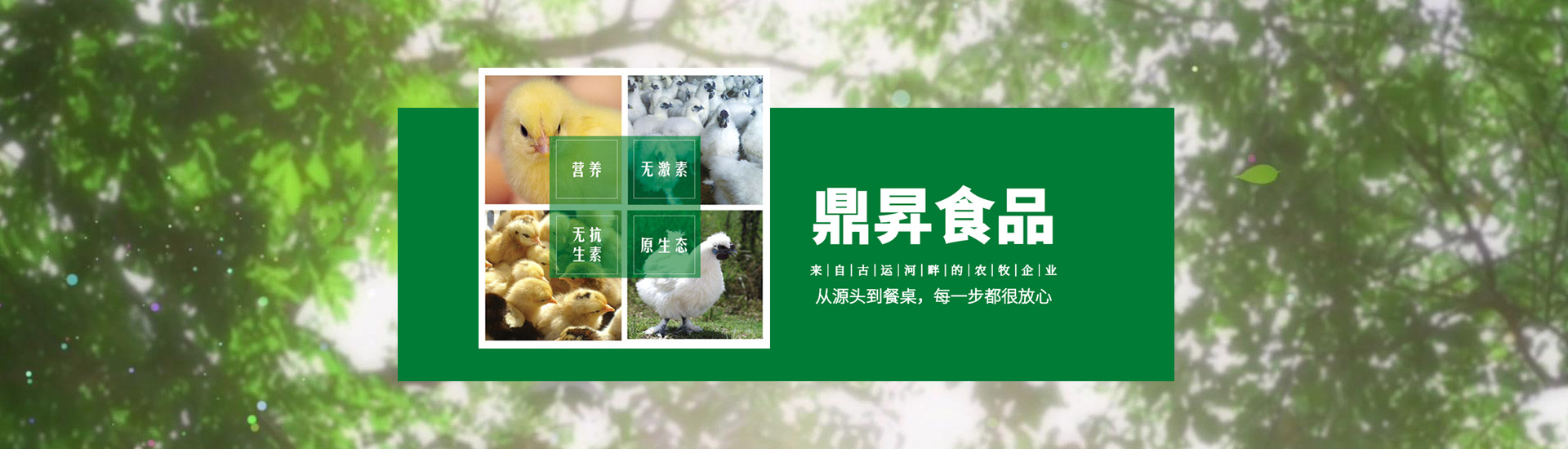 幻燈3
