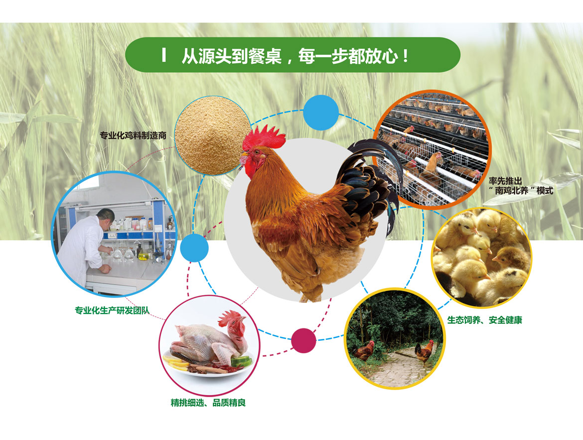 宣傳冊2