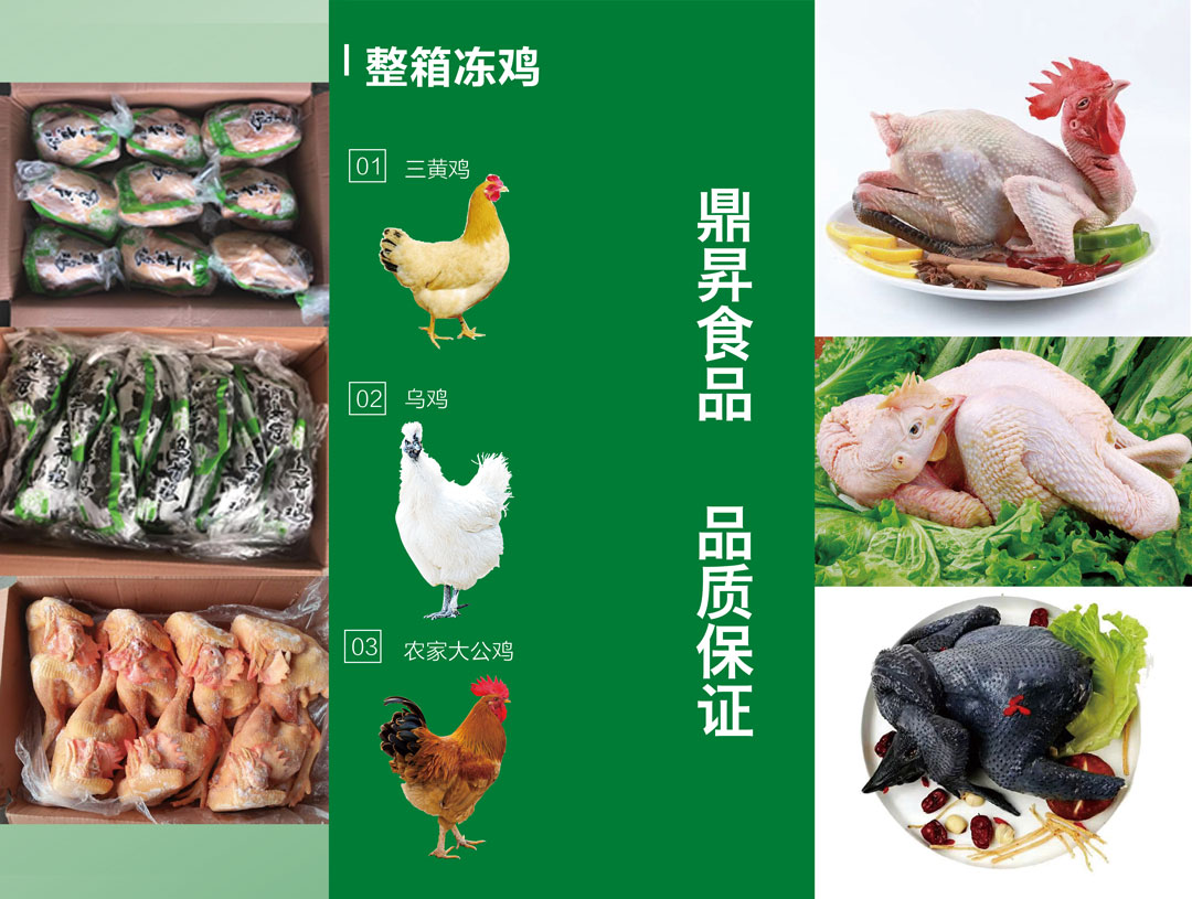 宣傳冊6