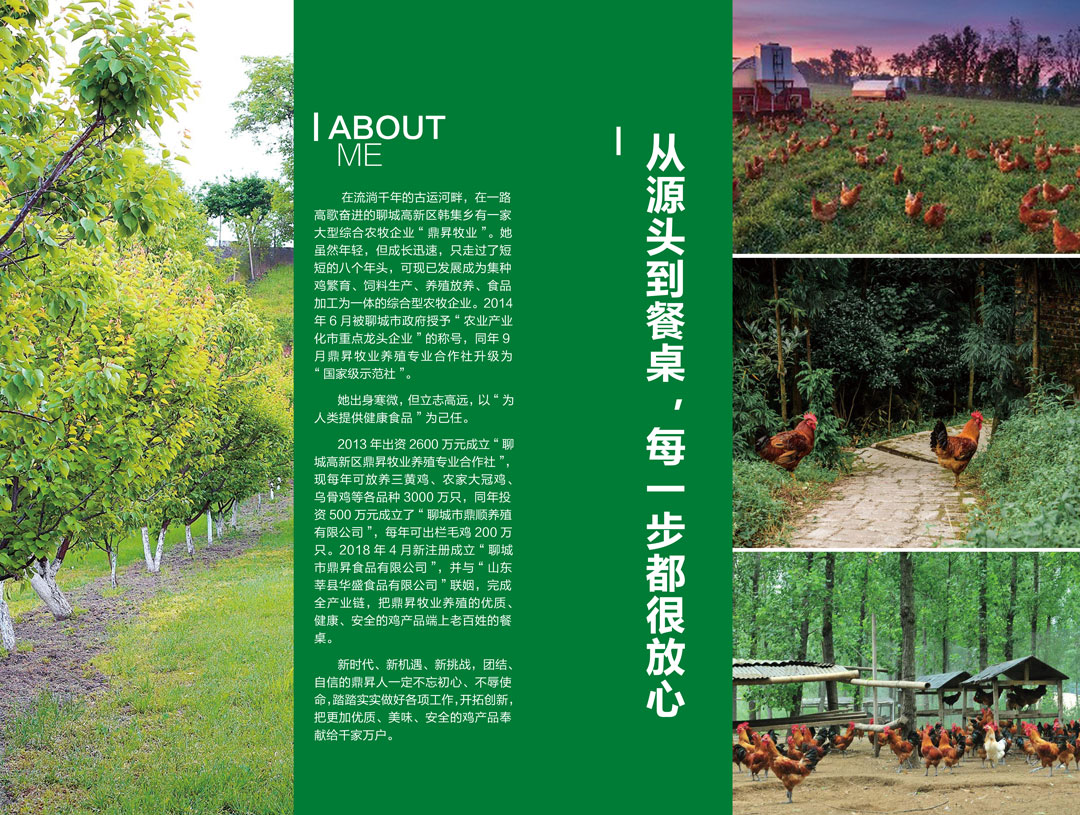 宣傳冊1