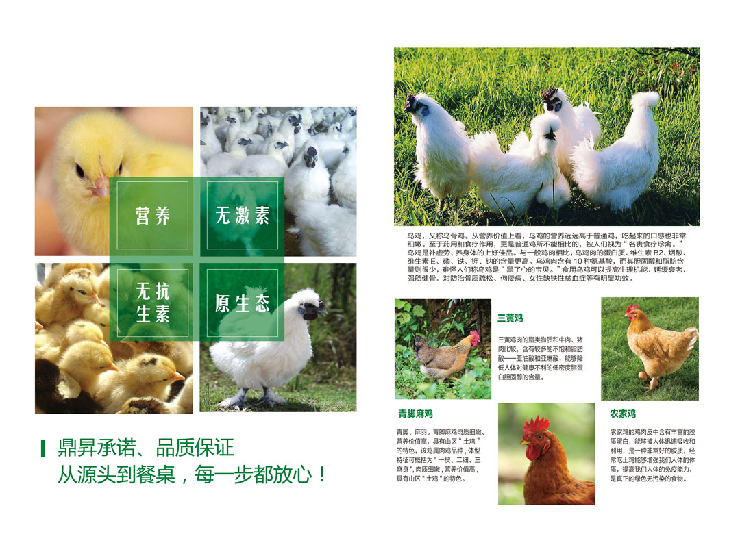 宣傳冊3